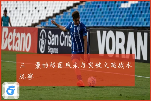 三笘薰的绿茵风采与突破之路战术观察