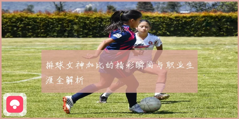 排球女神加比的精彩瞬间与职业生涯全解析