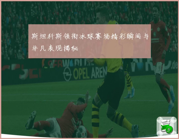 斯坦科斯领衔冰球赛场精彩瞬间与非凡表现揭秘