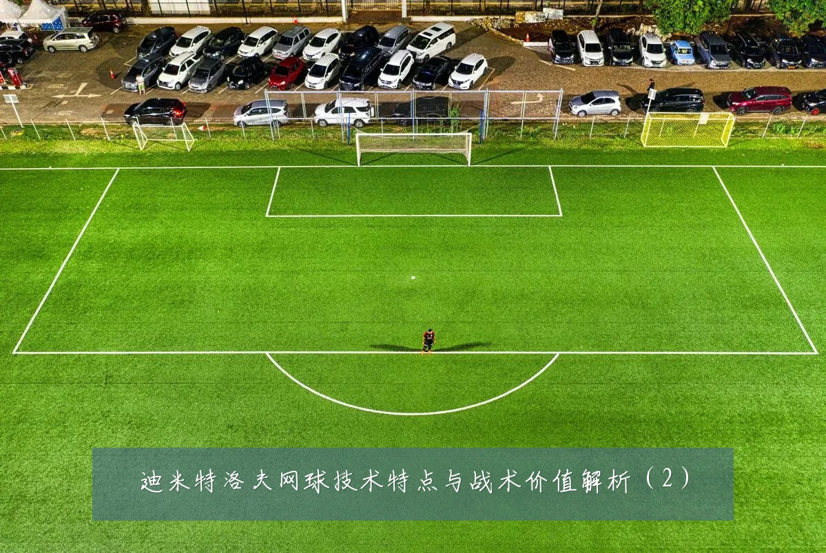 迪米特洛夫网球技术特点与战术价值解析（2）